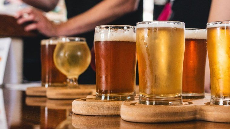 Xerrada amb tast 'Malteria Arbequina: de la terra al got'