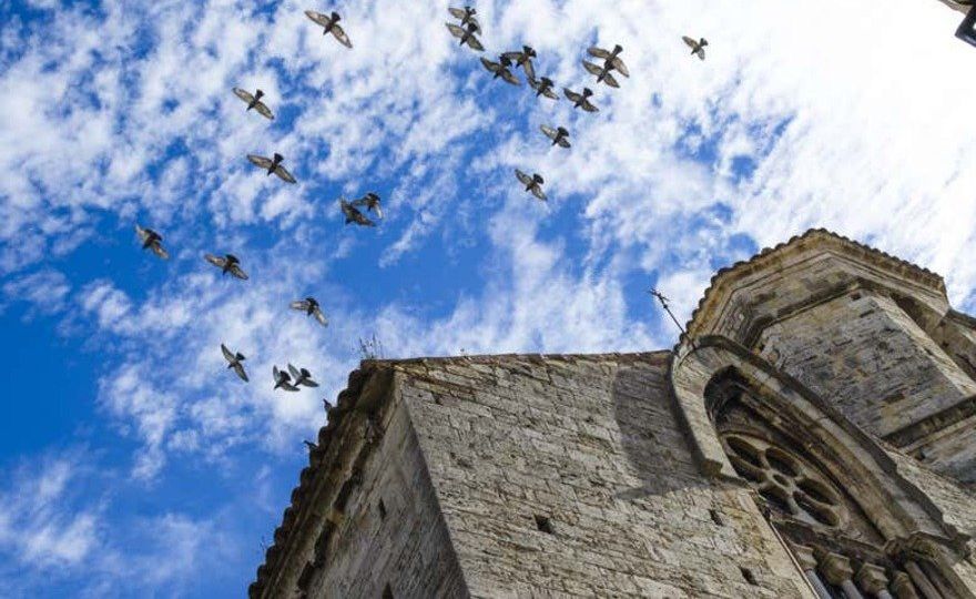 Excursión a Vic, Besalú, Santa Pau y Castellfollit de la Roca en grupo reducido