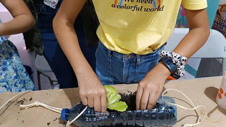 Taller «Fes el teu petit hort vertical»