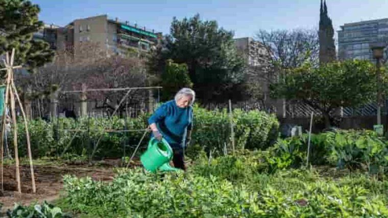 Taller «Mans a l’hort: Cada gota compta»