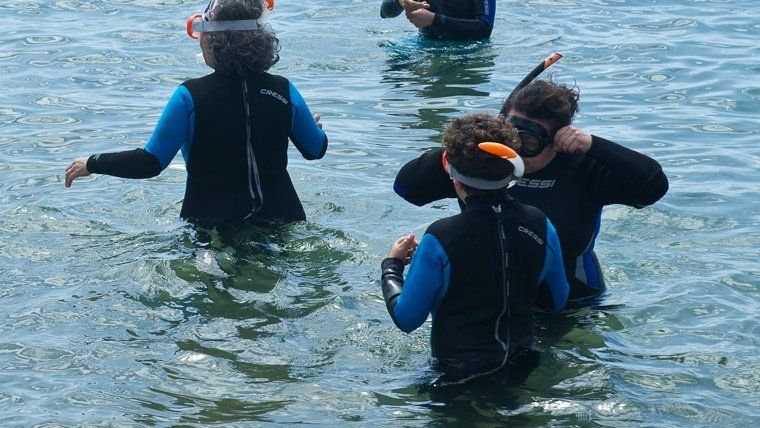 Vivim el mar
