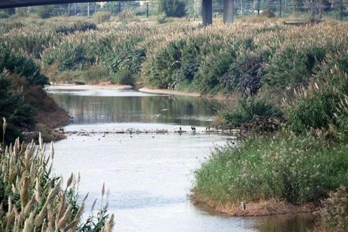 El Llobregat de L'Hospitalet, ¿espacio natural?