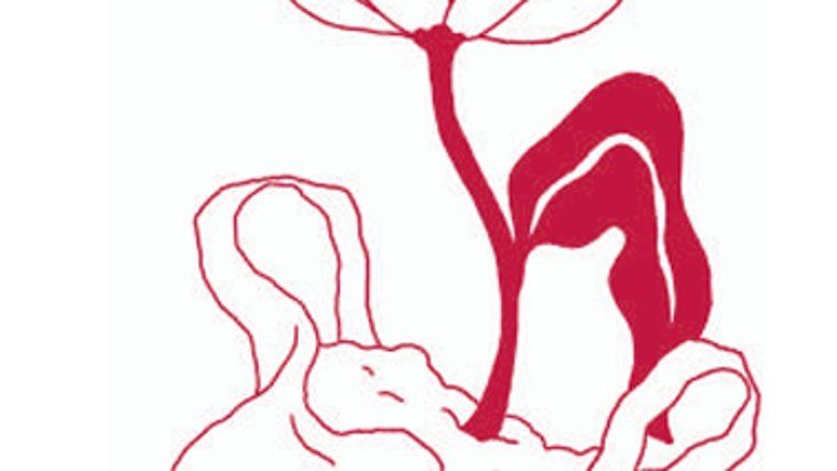Xerrada 'Dia europeu sense cotxes'