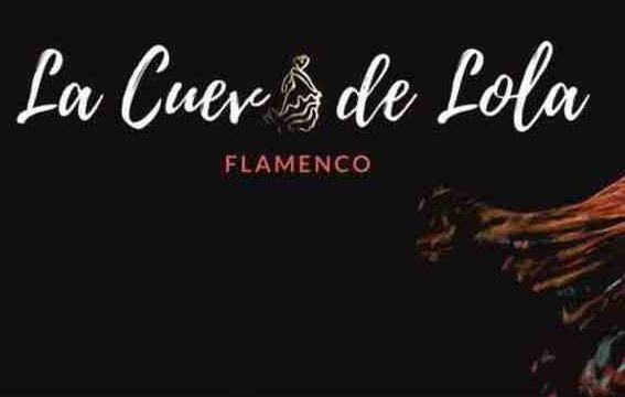 Espectáculo Flamenco en el Palau Dalmases