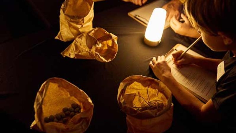 Taller 'Bestiari mai vist'