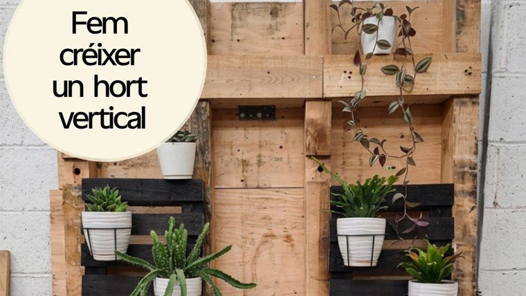 Taller 'Fem créixer un hort vertical'