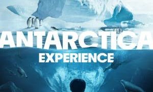 Antarctica Experience