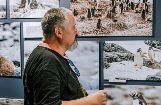 Foto-museo interactivo de la Antártida con realidad virtual