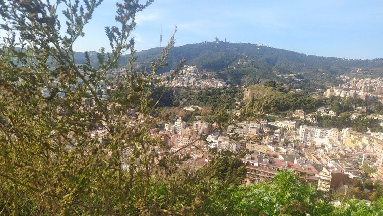 Salida Els valors de la natura d’Horta-Guinardó els Tres Turons II. El Coll i el Carmel