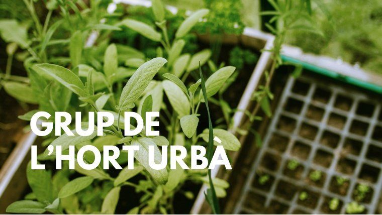 Grup de l'hort del Mas Guinardó