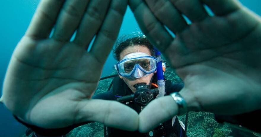 Descubre el buceo PADI en Barcelona, tu primera clase de buceo