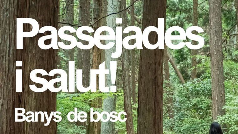 Passejades i salut: banys de bosc per a persones cuidadores