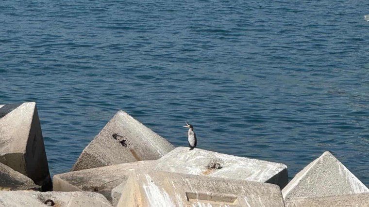 Itinerario «Un paseo ambiental por el litoral»