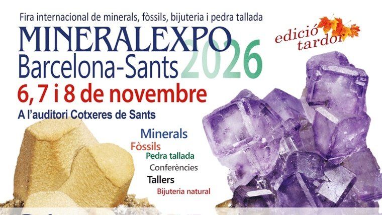 Fira Internacional de Minerals, Fòssils i Pedra Tallada «Mineralexpo»