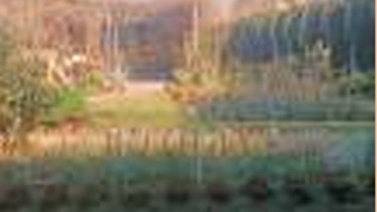 Taller “Espai d’hort”