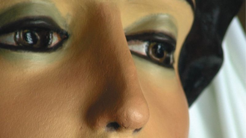 Exposició «Mirades de Gegant, 110 anys dels Gegants de Sant Roc de la Plaça Nova»