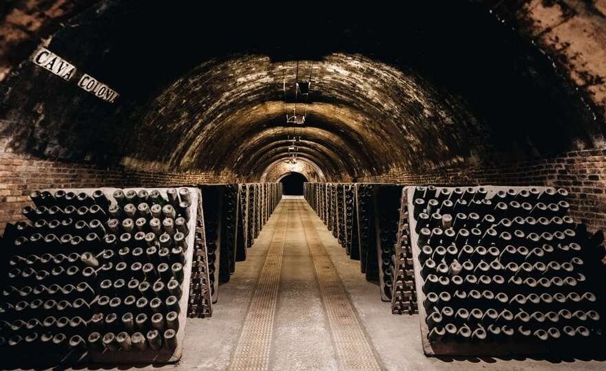 Codorniu - Heritage Tour
