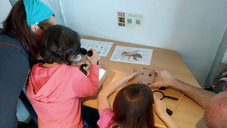 Taller 'Natura de prop - Terrat Viu'