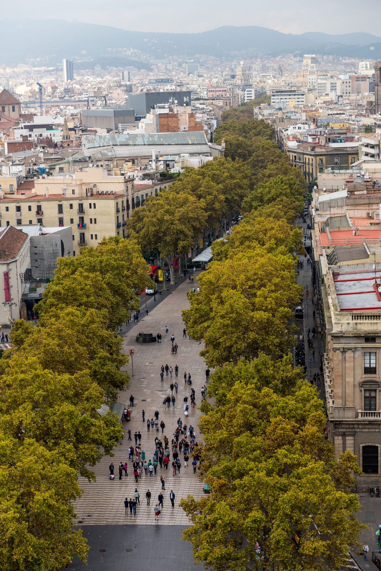 Vista de Las Ramblas de Barcelona desde el monumento a Colón. Foto: Ralf Roletschek en Wikimedia Commons