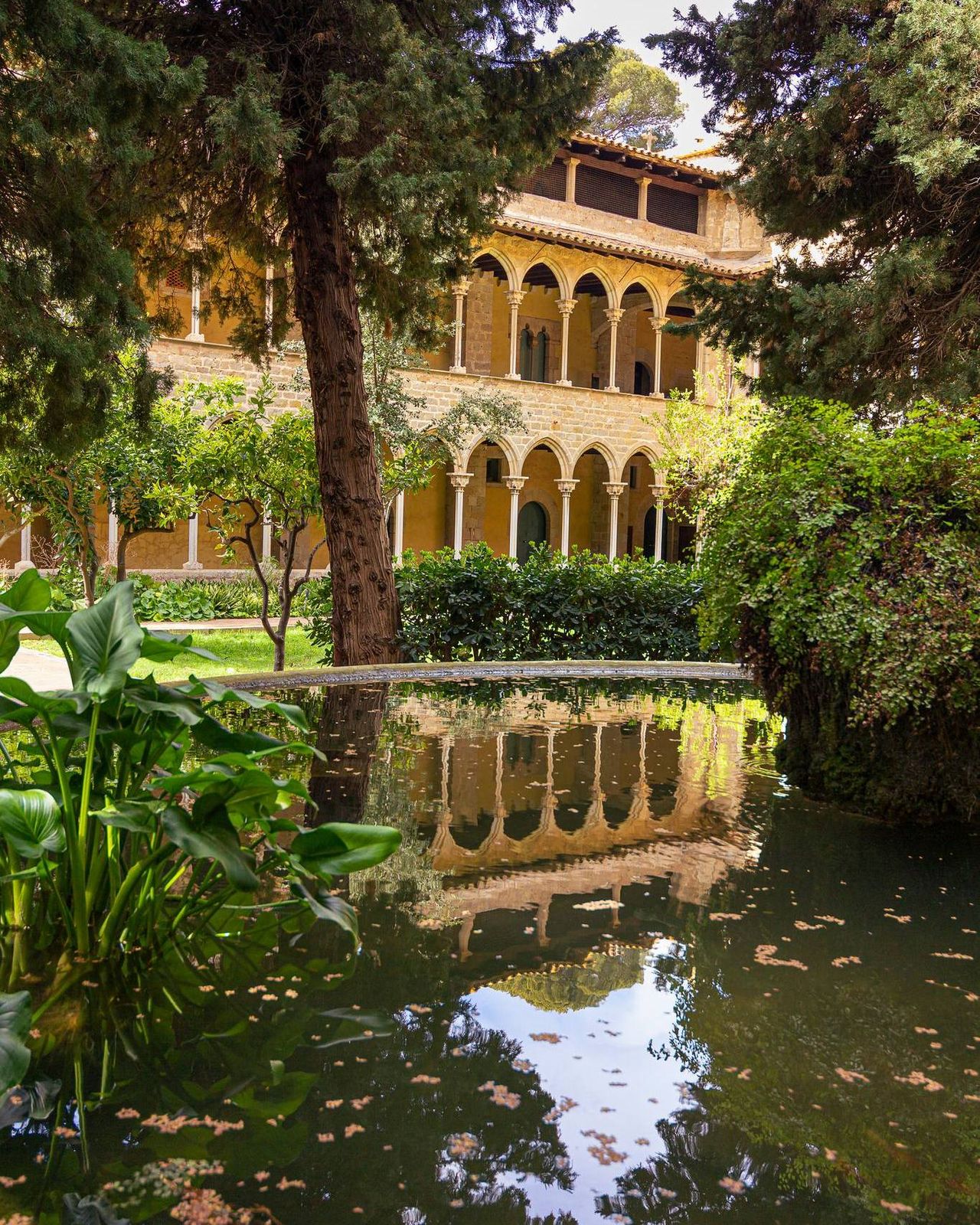 Monasterio de Pedralbes. Foto: Monasterio de Pedralbes