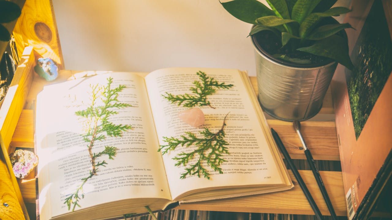 ¿Dónde comprar libros de segunda mano en Barcelona?