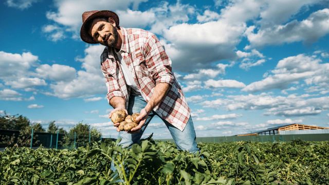 BioCultura Barcelona 2025: el epicentro de la cultura ecológica y el consumo responsable