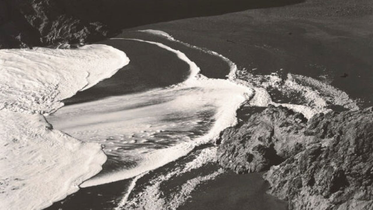 Edward Weston: la materia de las formas