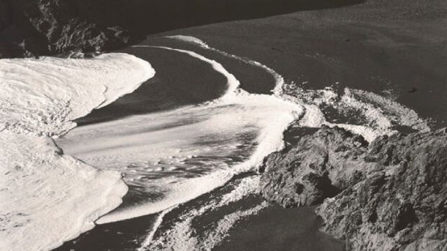 Edward Weston: la materia de las formas