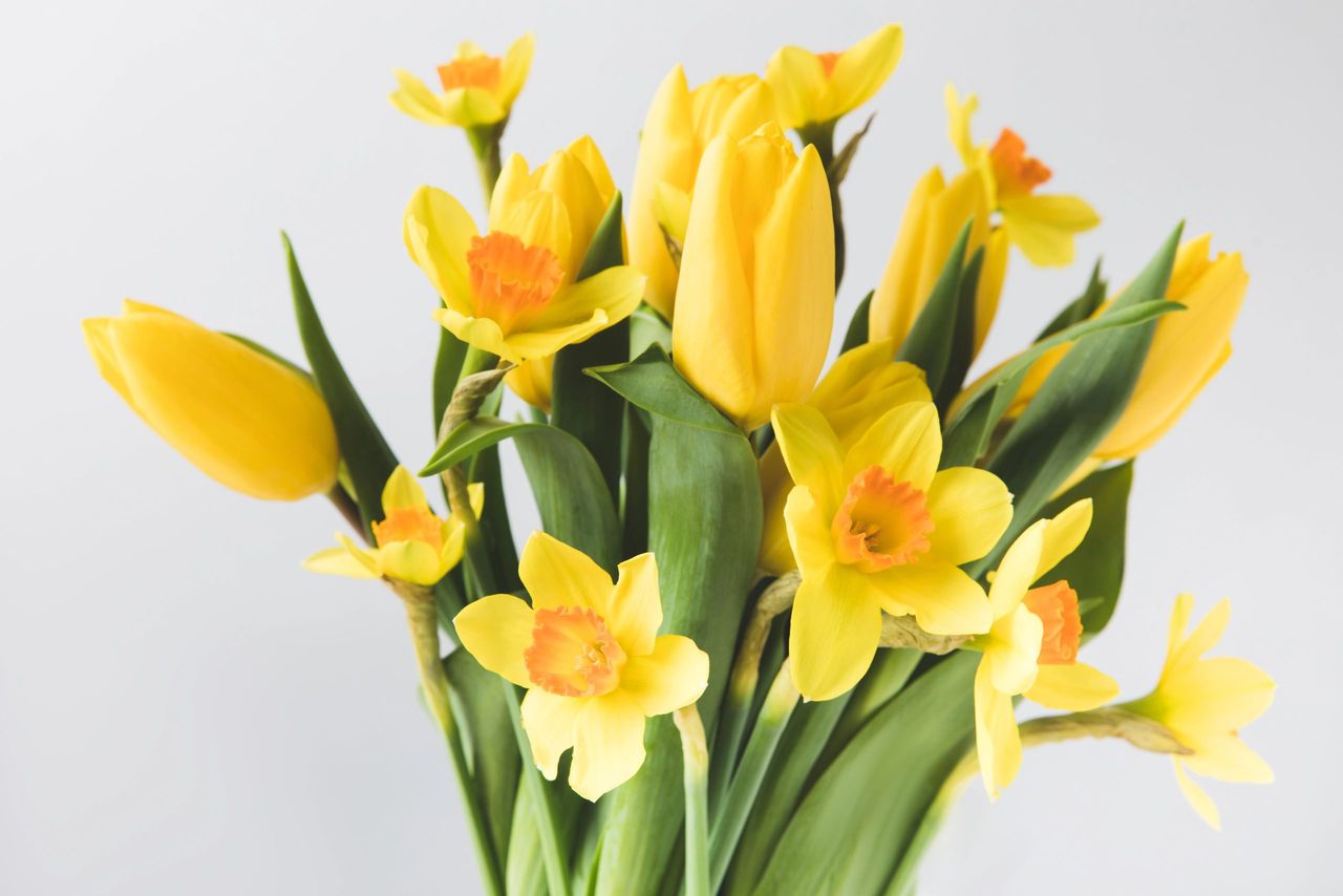 Ramo de flores. Foto: Depositphotos