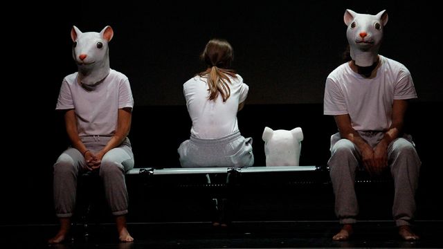 Contención mecánica: cuando el silencio grita dentro de un sistema que aprieta