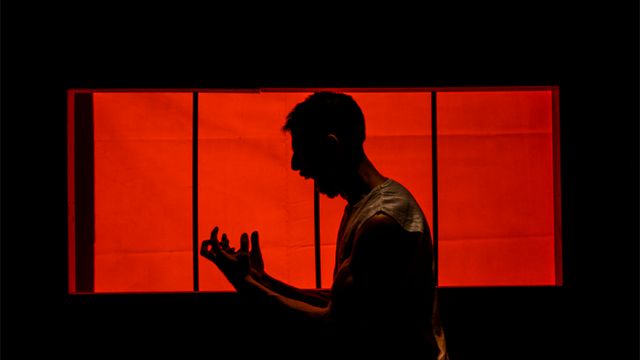 Vuela alto: una historia íntima sobre la pérdida, la resiliencia y el deseo de seguir adelante