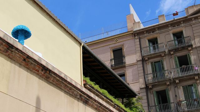 Raval(s) convierte el Raval en tres días de cultura compartida