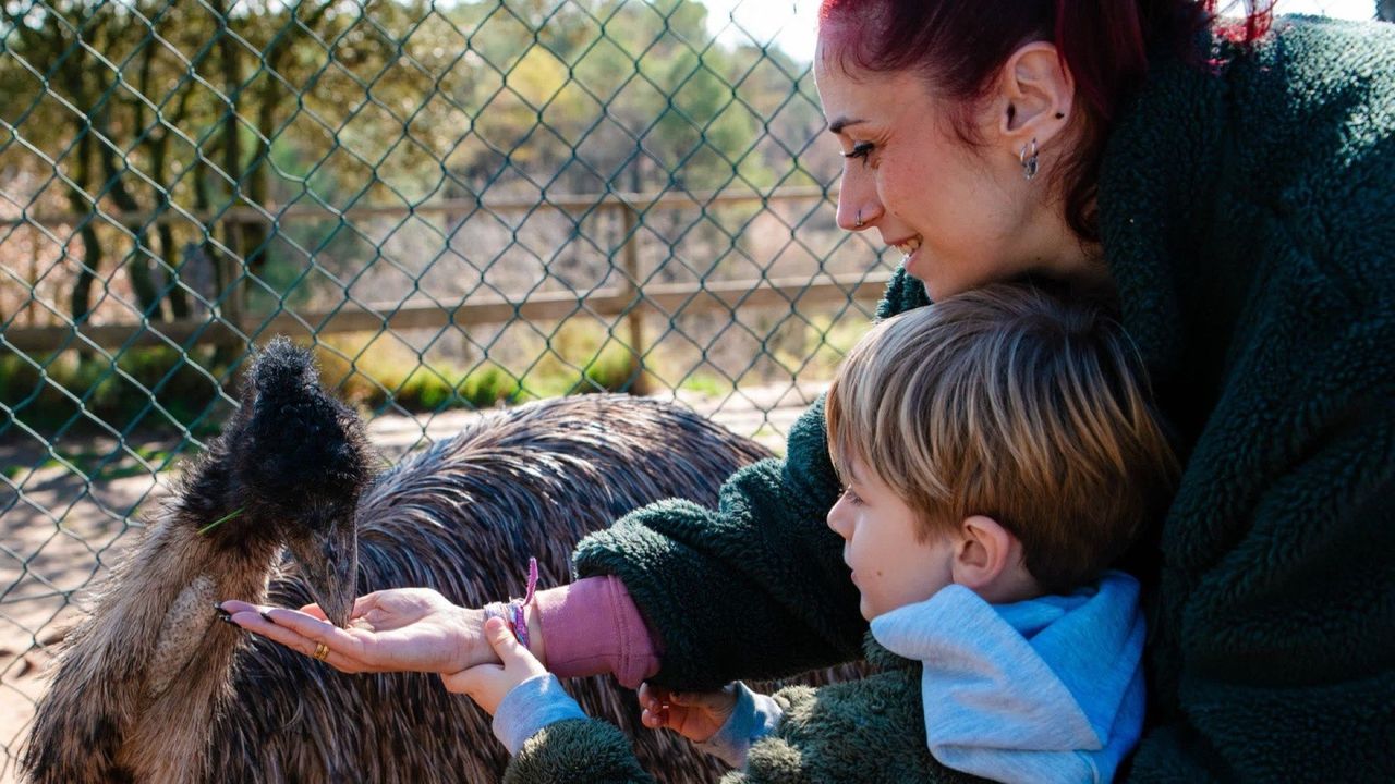Una jornada con animales rescatados en Centre d'Apropament a la Natura