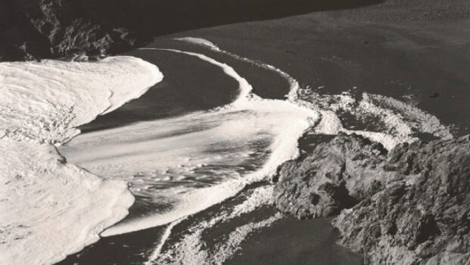 Edward Weston: la materia de las formas