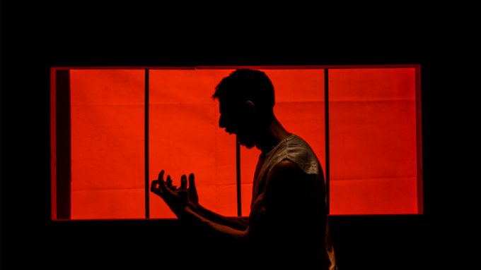 Vuela alto: una historia íntima sobre la pérdida, la resiliencia y el deseo de seguir adelante